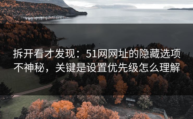 拆开看才发现：51网网址的隐藏选项不神秘，关键是设置优先级怎么理解