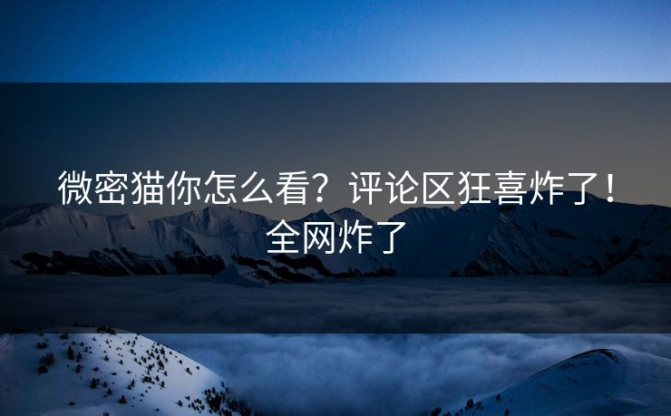 微密猫你怎么看？评论区狂喜炸了！全网炸了