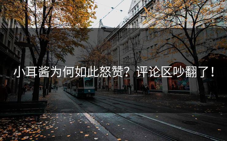 小耳酱为何如此怒赞？评论区吵翻了！