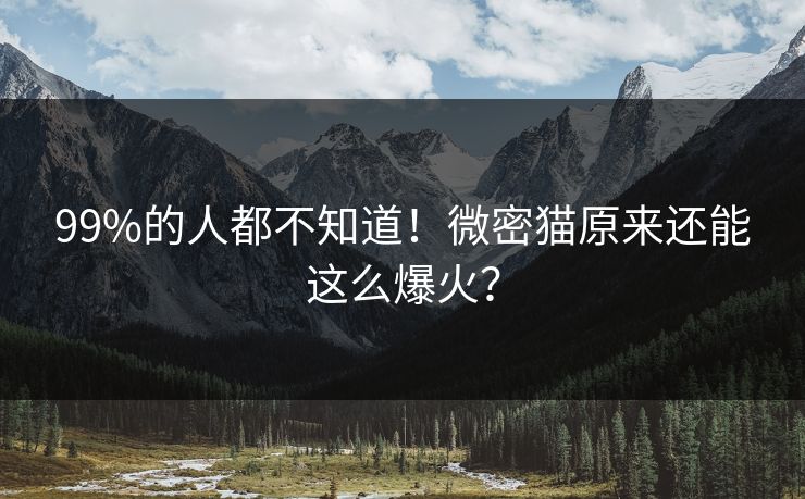 99%的人都不知道！微密猫原来还能这么爆火？