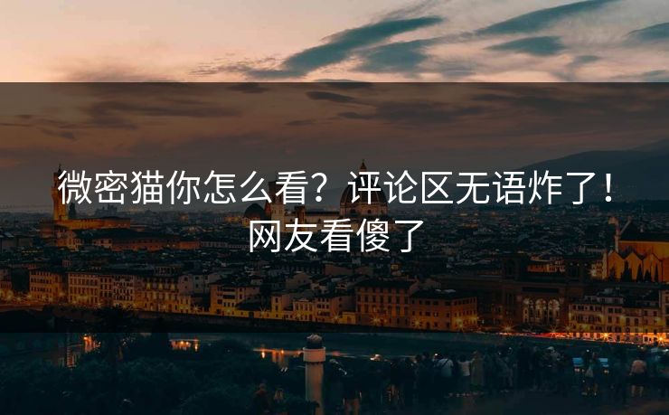 微密猫你怎么看？评论区无语炸了！网友看傻了
