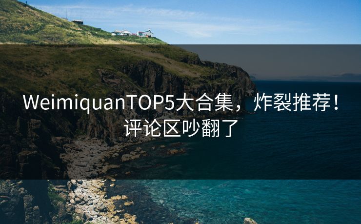 WeimiquanTOP5大合集，炸裂推荐！评论区吵翻了