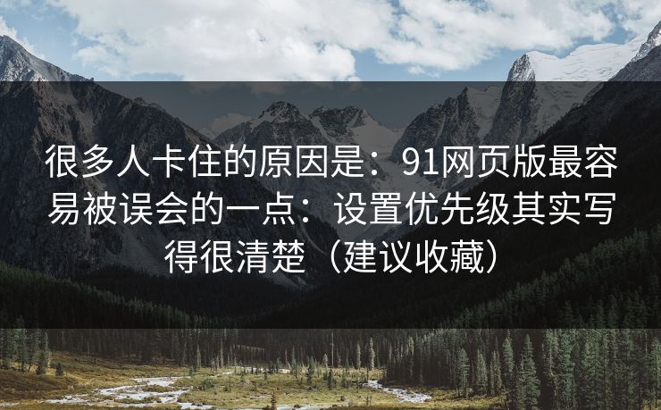 很多人卡住的原因是：91网页版最容易被误会的一点：设置优先级其实写得很清楚（建议收藏）